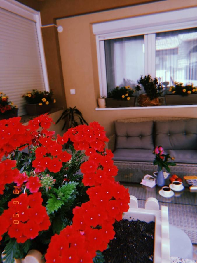 Apartman Jela Nova Varoš Exterior foto